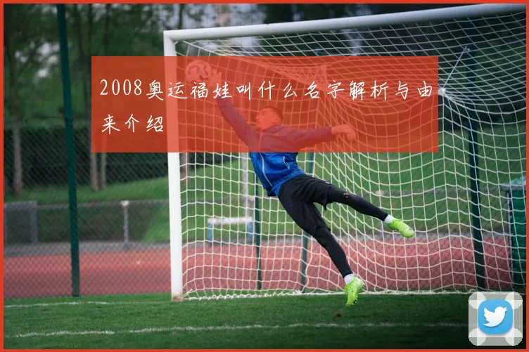 2008奥运福娃叫什么名字解析与由来介绍
