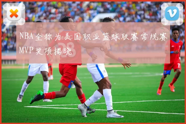 NBA全称为美国职业篮球联赛常规赛MVP奖项揭晓